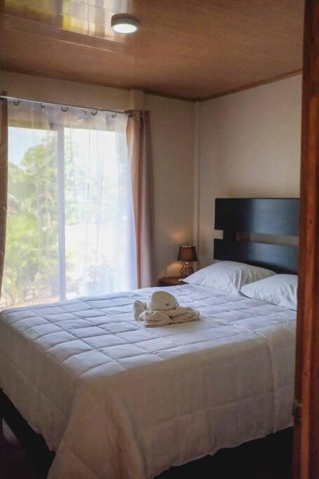Appartement Timarama